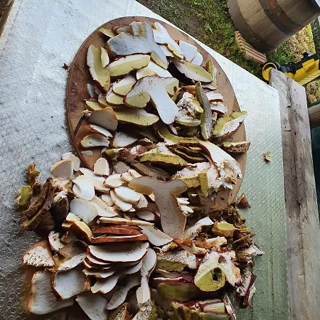 Planinska Koliba Ajdanovici Jelovac Nisicka Visoravan Olovo (Zenica-Doboj)